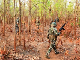 india.com top news