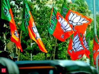 Odisha Assembly Elections 2024: BJP Releases Fourth List of Candidates, Fields Seemarani Nayak From Hindol