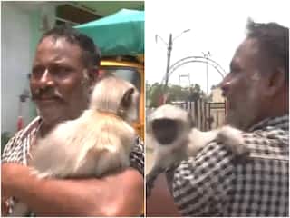 WATCH: Maharashtra Man Goes To Vote, Takes His Pet Monkey 'Bajrang' Along; Here's Why