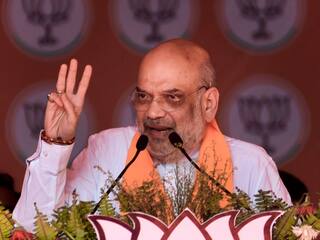INDIA Bloc Leaders Will 'Scramble' For PM Seat If It Comes To Power By 'Mistake': Amit Shah In Bihar
