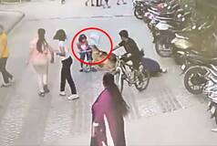 On Cam: 6-Year-Old Girl Attacked By German Shepherd Dog In Ghaziabad Society, FIR Filed Against Owner