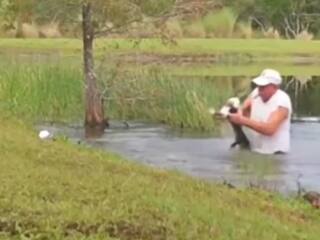 Magarmach Ka Video: डॉगी को बचाने के लिए मगरमच्छ से भिड़ गया शख्स, जबड़े से खींचकर ही दम लिया | देखें वीडियो