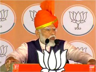 'Cooking Mutton In Sawan, Eating Fish In Navratri': PM Modi Attacks Rahul, Tejashwi