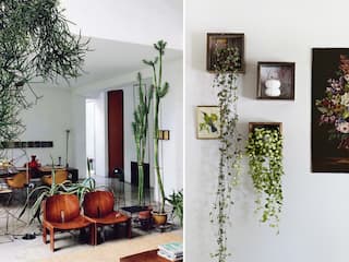 Amazon Wall Decoration Items under 499, Elevate Your Home's Aesthetic
