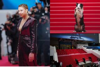 Cannes 2024: How It Works, Who Attends, From Standing Ovations to The Juries