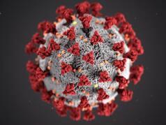 New Wave Of Covid19 In India After Outbreak In Singapore? Tamil Nadu Govt Assures Public, Suggests Precautions
