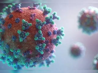 Maharashtra Covid-19 Cases Rise, Check Precautionary Measures To Stay Safe From Omicron Sub-Variant FLiRT