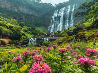 The Ultimate Time To Visit Araku Valley For A Memorable Experience