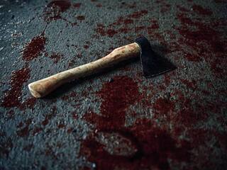 Chhattisgarh SHOCKER: Girl,14, Axes Brother To Death Who Scolded Her For 'Talking To Boys' On Phone