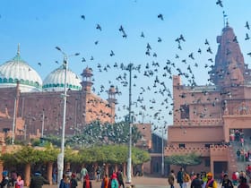 india.com top news