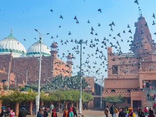 Krishna Janmabhoomi-Shahi Idgah Dispute: Nature Of Waqf Board To Encroach, Hindu Side Tells Allahabad HC