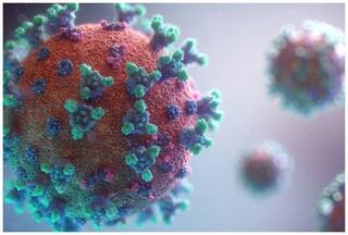 चीन ने बनाया एक और नया खतरनाक वायरस, 3 दिन में जा सकती है व्यक्ति की जान