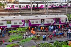 Mumbai Local Update: CR's 63-Hour Long CSMT-Thane 'Mega Block' To Affect Local Train Services; 930 Trains Cancelled