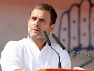 Why Did Rahul Gandhi Choose To Contest From Raebareli And Not Amethi? Congress Leader Responds