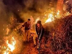 Uttarakhand Forest Fire: Woman Burnt While Saving Her Farm, Dies During Treatment; Death Toll Continues To Rise