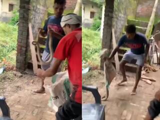 Viral Video: सीमेंट की बोरी लेकर सांप पकड़ने गया था शख्स, लापरवाही ऐसी पड़ी भारी खतरे में आ गई जान