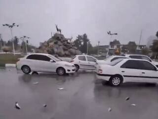 Viral Video Today: आसमान से बरसने लगीं मछलियां, सड़क पर मच गई लूट | देखें वीडियो