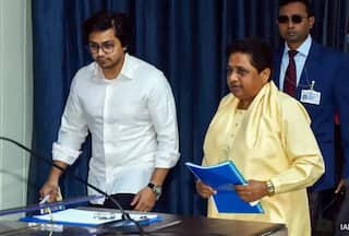 Mayawati Reinstates Nephew Akash Anand As BSP Coordinator After Poor Performance In Lok Sabha Elections