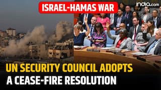 Israel- Hamas war: UN Security Council adopts a cease-fire resolution to end Gaza war