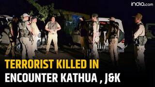 Kathua Terror Attack: One Killed In Terror Attack In Jammu & Kashmir's Kathua