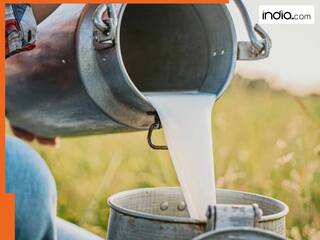 कच्चा दूध पीने से हो सकते हैं गंभीर नुकसान, जानें पीने से पहले क्यों उबाला जाता है दूध