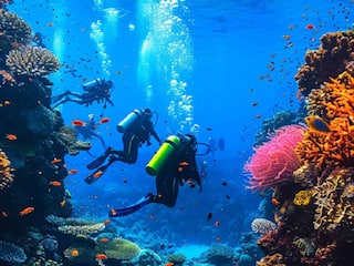 8 Hidden Gems To Discover In Andaman and Nicobar Islands