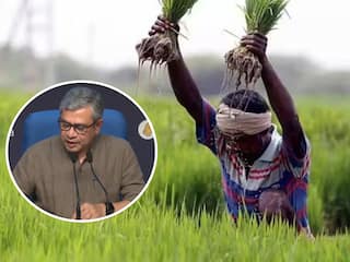 MSP को लेकर नाराज किसानों को बड़ा तोहफा, केंद्र सरकार ने 14 फसलों पर बढ़ाया न्यूनतम समर्थन मूल्य