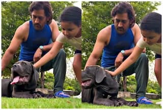 MS Dhoni Spends Father’s Day With Daughter Ziva In Ranchi Farmhouse – WATCH Adorable Video