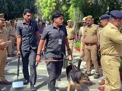 Disposal Squads, Sniffer Dogs In Each District: How Delhi Police Plans To Handle Future Bomb Threats In National Capital
