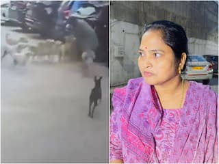WATCH: Narrow Escape For Hyderabad Woman After Stray Dogs Besiege Her During Morning Walk; Husband Shares Chilling Video