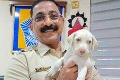 This Mumbai Cop Turns Messiah For Strays, Uses WhatsApp Group to Tackle Animal Abuse Cases