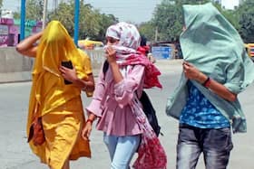 india.com top news