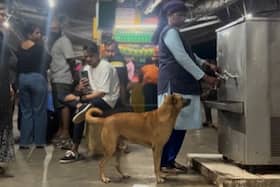 india.com top news