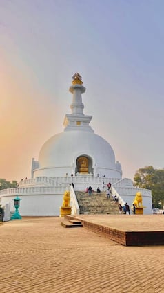 india.com webstories