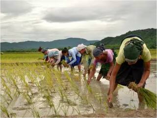 Union Cabinet Takes 5 Major Decisions In Latest Meeting, Raises MSP On 14 Crops