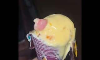 Watch: Doctor Finds Finger In Ice Cream Ordered Online; Man Finds Live Worm In Order From Zepto