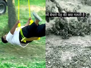 Funny Video: झूला झूलने गए बंदे ने गिरा दिया पेड़, जो हुआ पेट पकड़कर हंसेंगे | देखें वीडियो