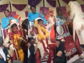 Bride Groom Video: बार-बार दूल्हे को छेड़ना पड़ा भारी, दुल्हन के जीजा का भूत उतार दिया | देखें वीडियो