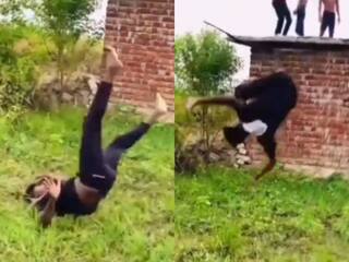 Stunt Ka Video: रील बनाने के चक्कर में तुड़वा बैठा गर्दन, सीधा अस्पताल पहुंच गया लड़का | देखें वीडियो
