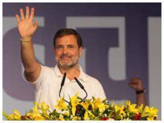 कांग्रेस में उठी लोकसभा चुनाव के हीरो राहुल गांधी को विपक्ष का नेता बनाने की मांग, क्या होगा पार्टी का फैसला?