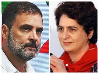 रायबरेली से राहुल गांधी ने नहीं दिया इस्तीफा, प्रियंका को भेजा वायनाड, यहां जानें क्या है उत्तर से लेकर दक्षिण तक का प्लान | Explained