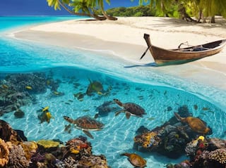 10 Tourist Attractions You Can't Afford To Miss In Lakshadweep Islands