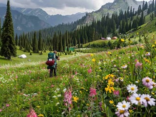 Calling All Adventurous Souls: 7 Exciting Treks Near Sonmarg, Jammu & Kashmir