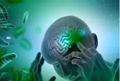 'Brain-Eating' Amoeba Kills 22-Year-Old in Pakistan, Third Such Case This Year