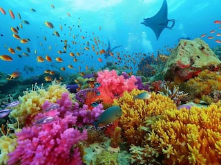 Attention Travelers: Check Out These 8 Must Do Activities In Andaman & Nicobar Islands