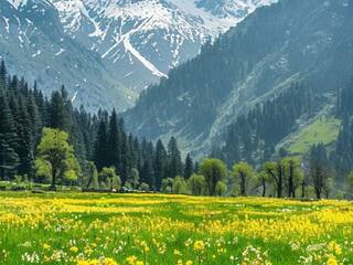 Visit 7 Amazing Weekend Destinations Near Manali, Himachal Pradesh