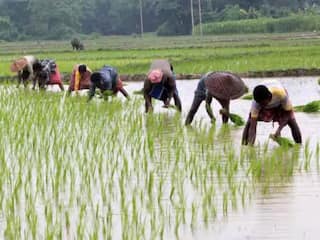 Telangana Govt’s Farm Loan Waiver Scheme To Benefit 70 Lakh Farmers: All You Need to Know