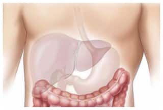 फैटी लिवर होने पर घी और नारियल तेल का सेवन करें सीमित : विशेषज्ञ