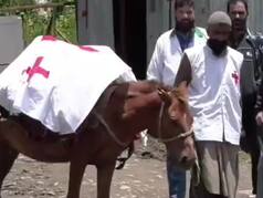 Amarnath Yatra: J-K Launches 'Pony Ambulance' Service To Provide Emergency Medical Support To Pilgrims