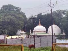 Bhojshala-Kamal Maula Mosque Row: ASI Survey Report Finds Ancient Artifacts, Figures Of Hindu Deities; Hints At Temple Origins